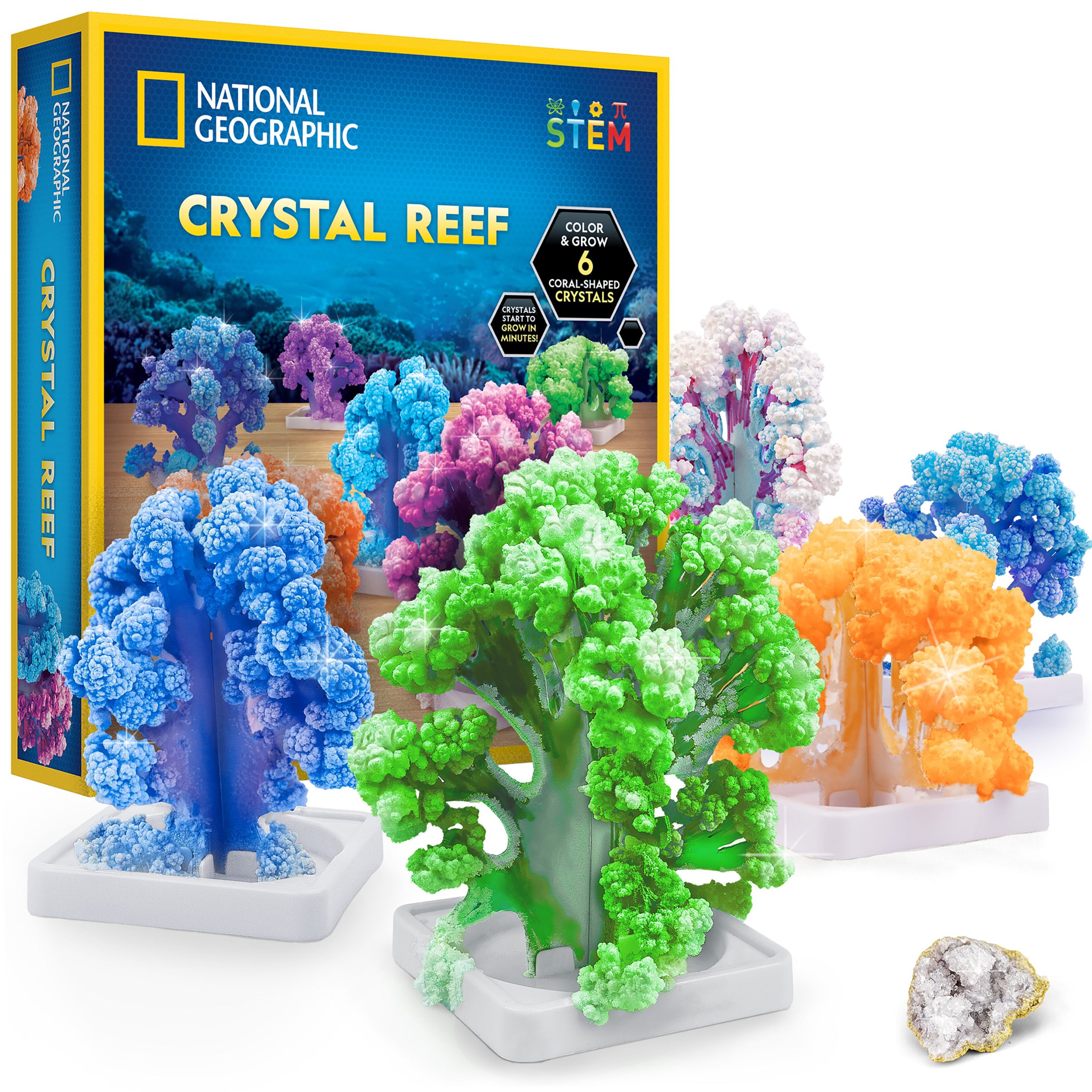 National Geographic Crystal Reef Coral Growing Lab detail 1