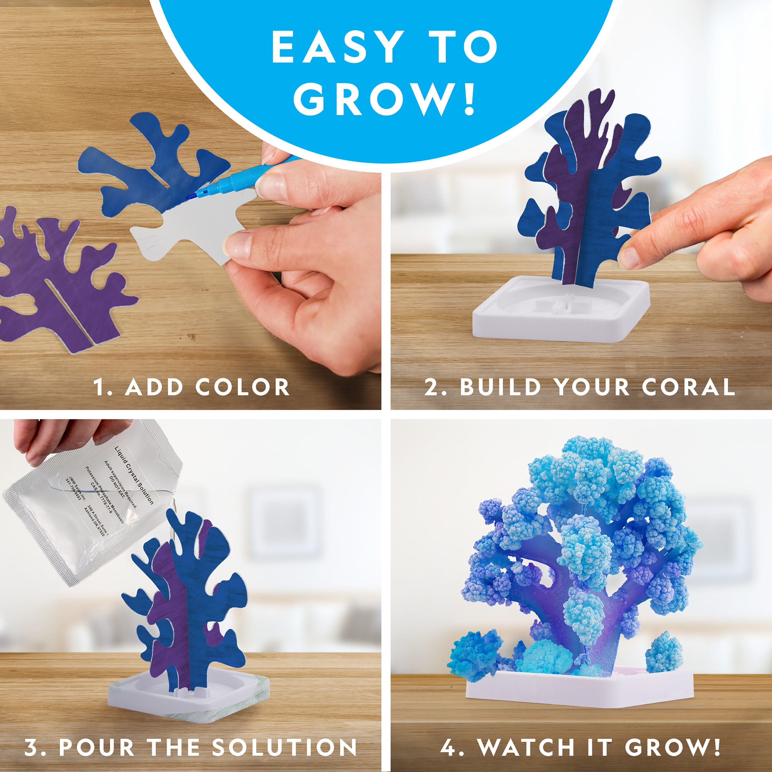 National Geographic Crystal Reef Coral Growing Lab detail 3