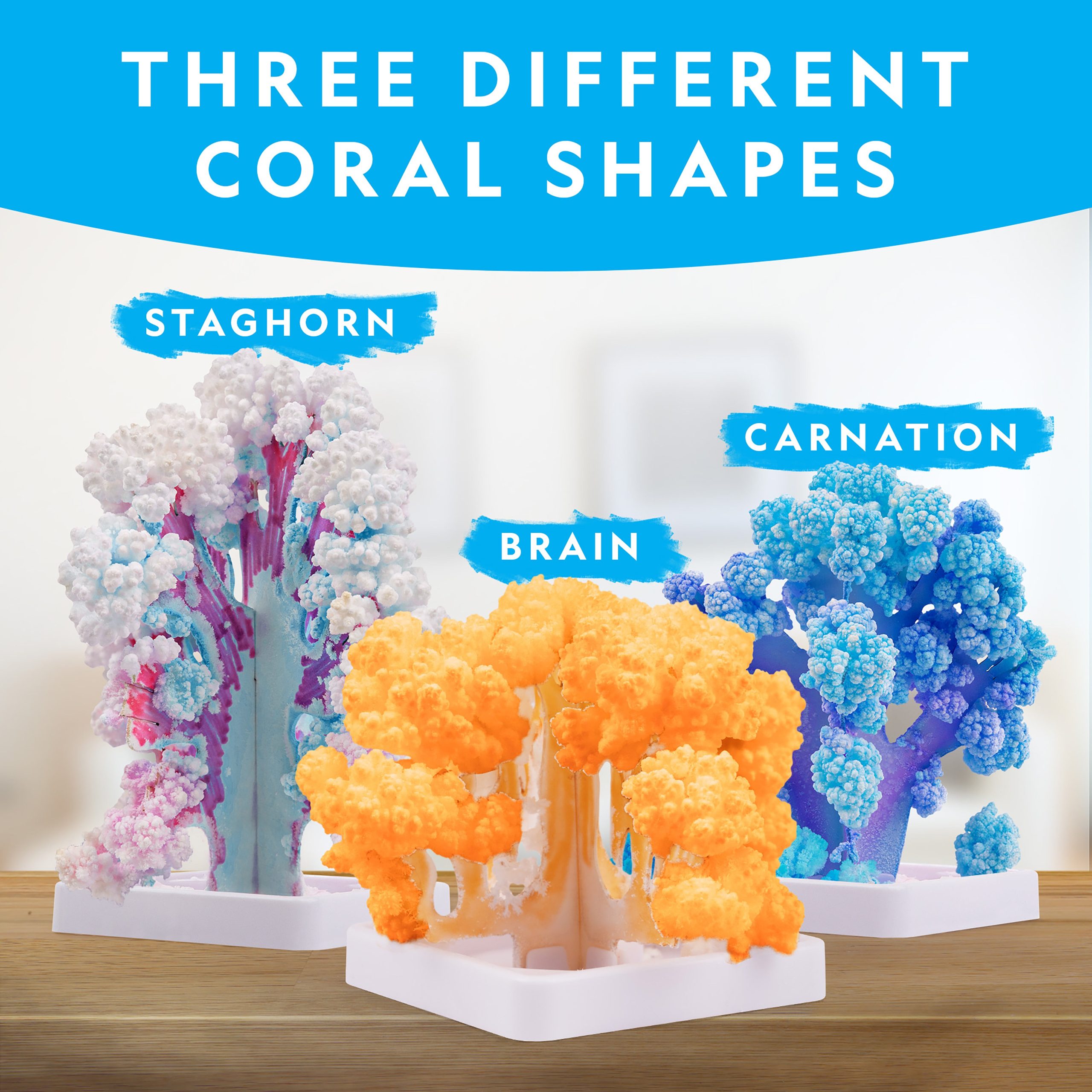 National Geographic Crystal Reef Coral Growing Lab detail 4