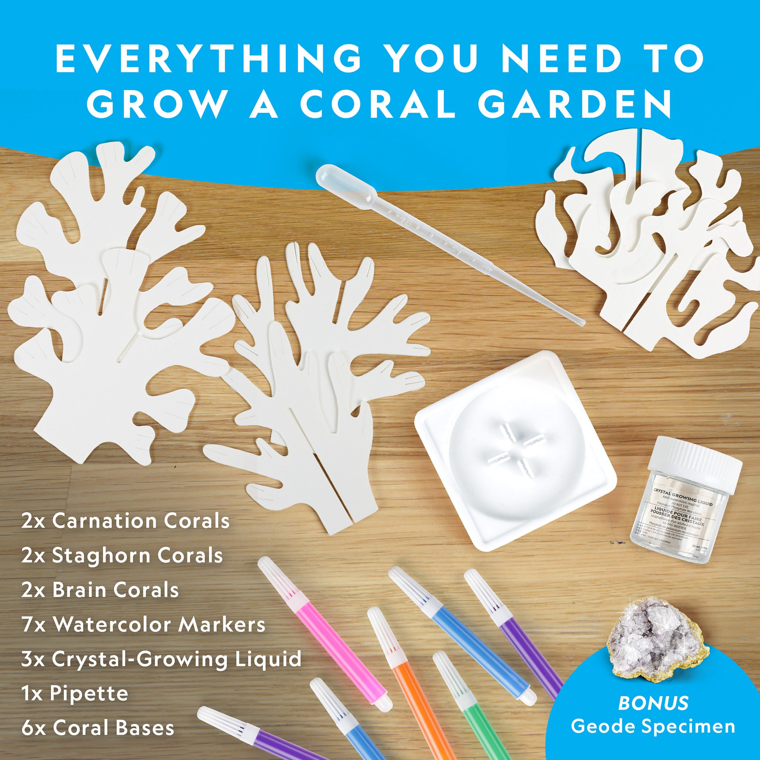 National Geographic Crystal Reef Coral Growing Lab detail 5