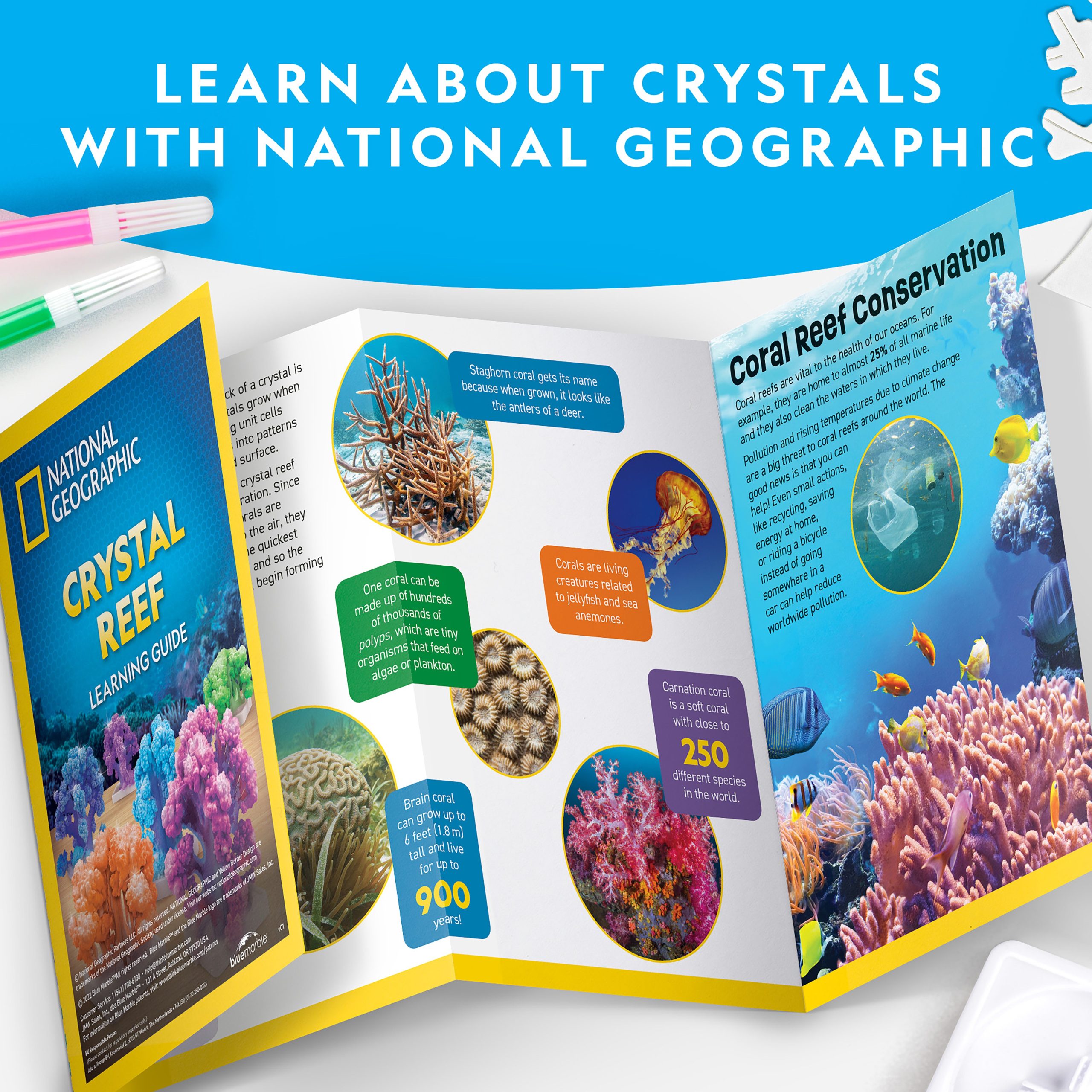 National Geographic Crystal Reef Coral Growing Lab detail 6
