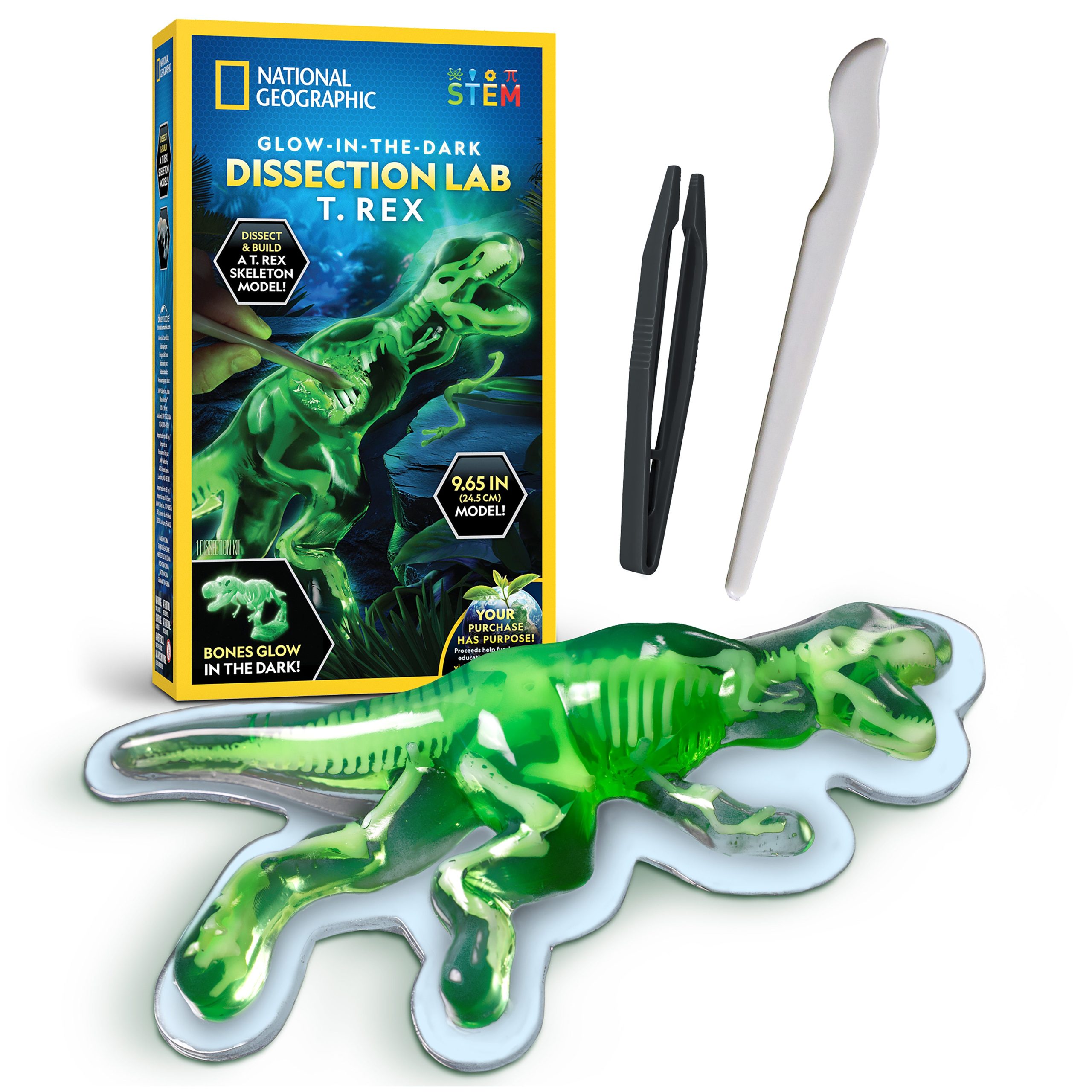 National Geographic T Rex Dissection Lab bones