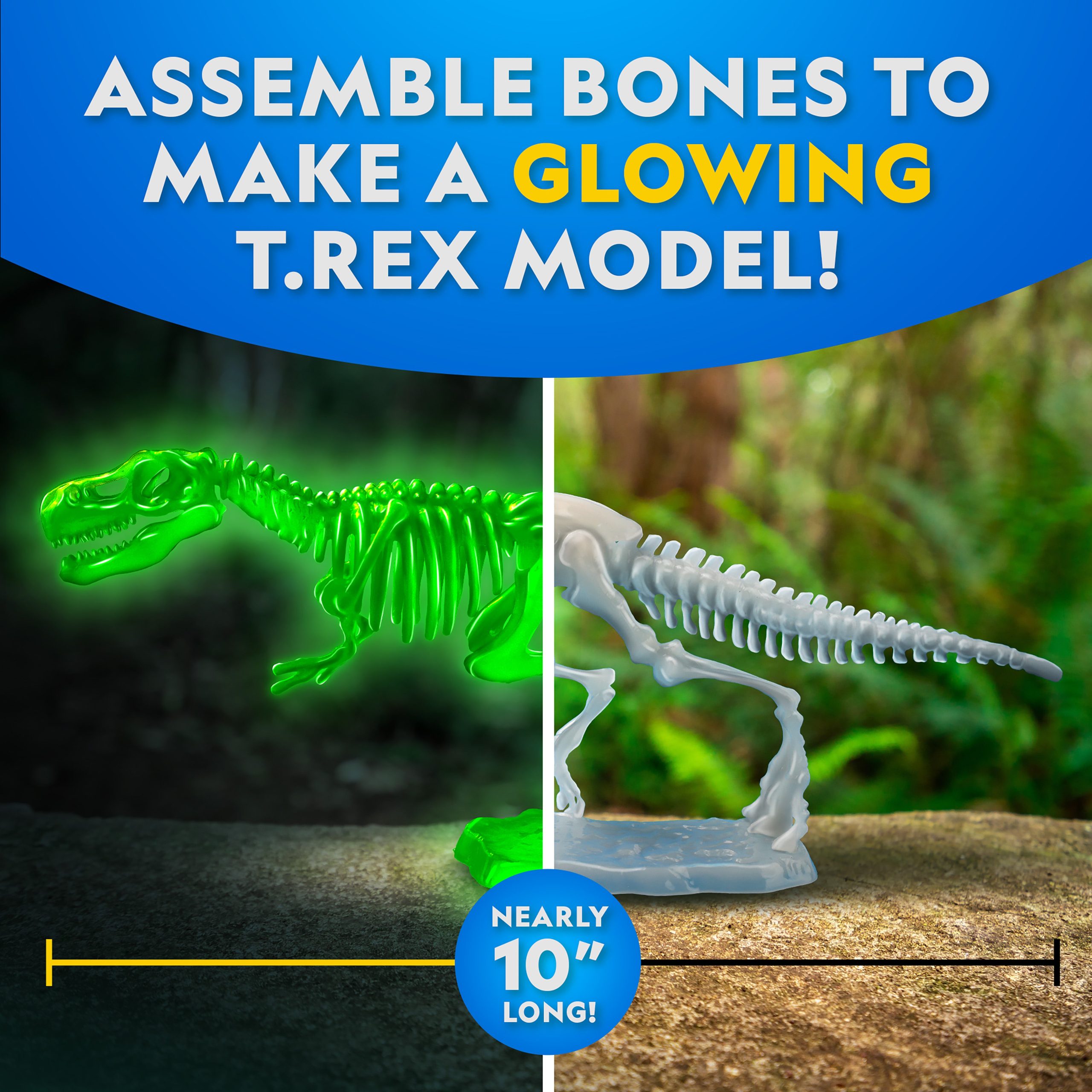National Geographic T Rex Dissection Lab skeleton