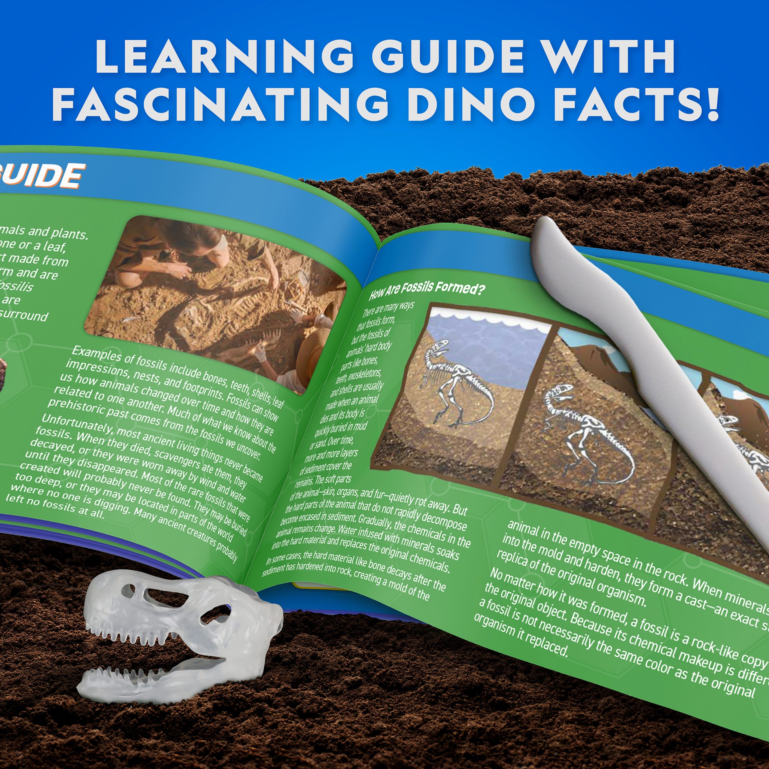 National Geographic T Rex Dissection Lab glow effect