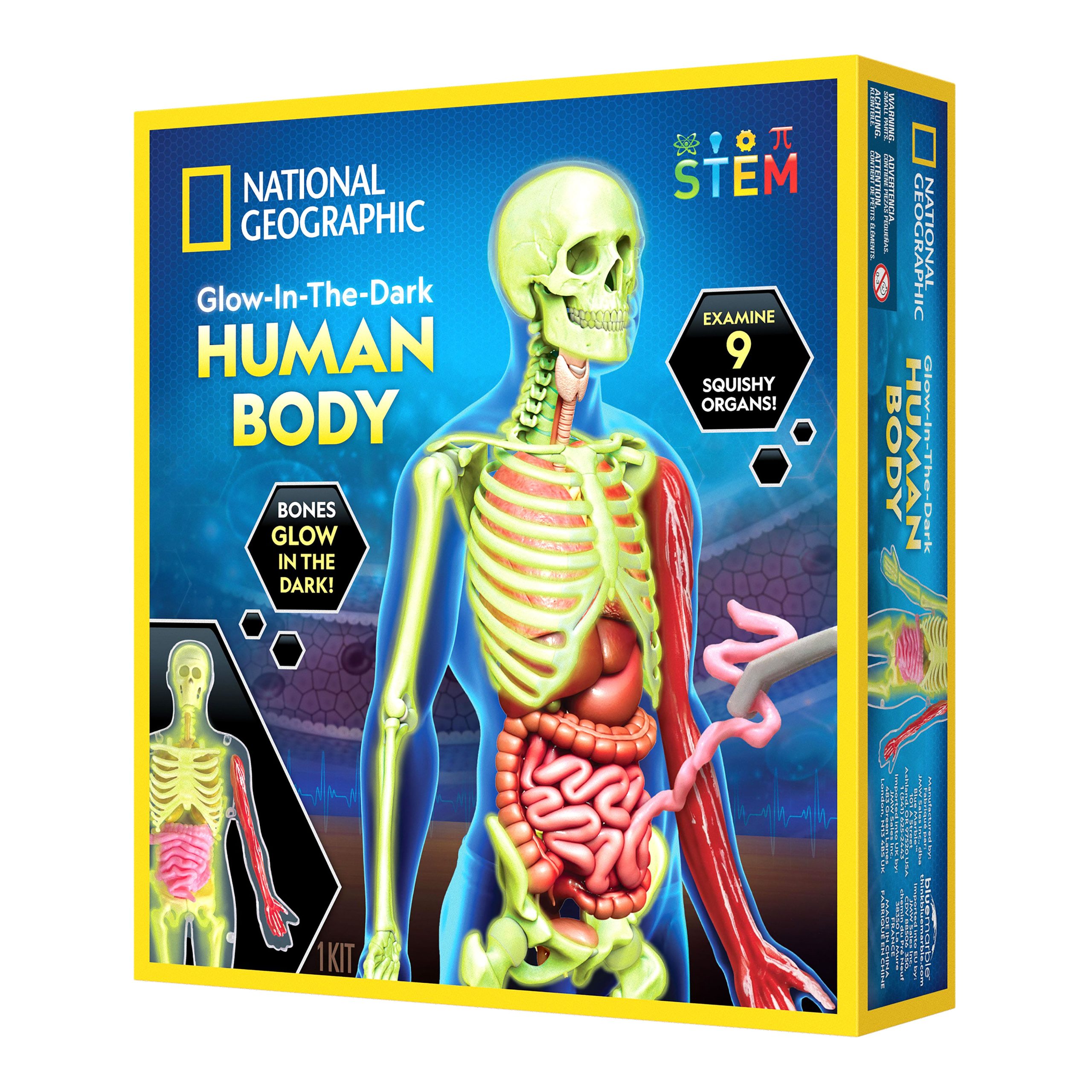 National Geographic Human Body Science Kit side