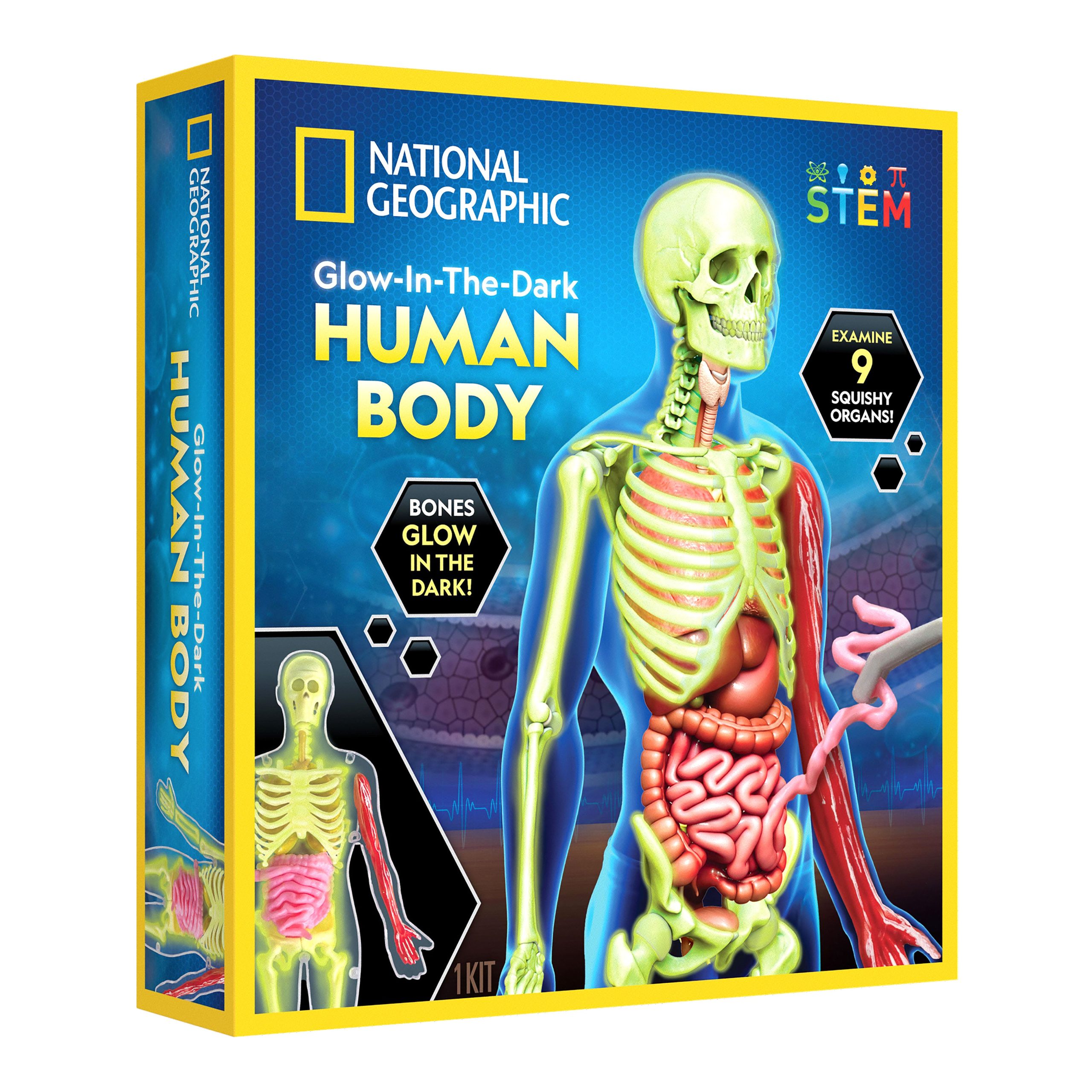 National Geographic Human Body Science Kit front